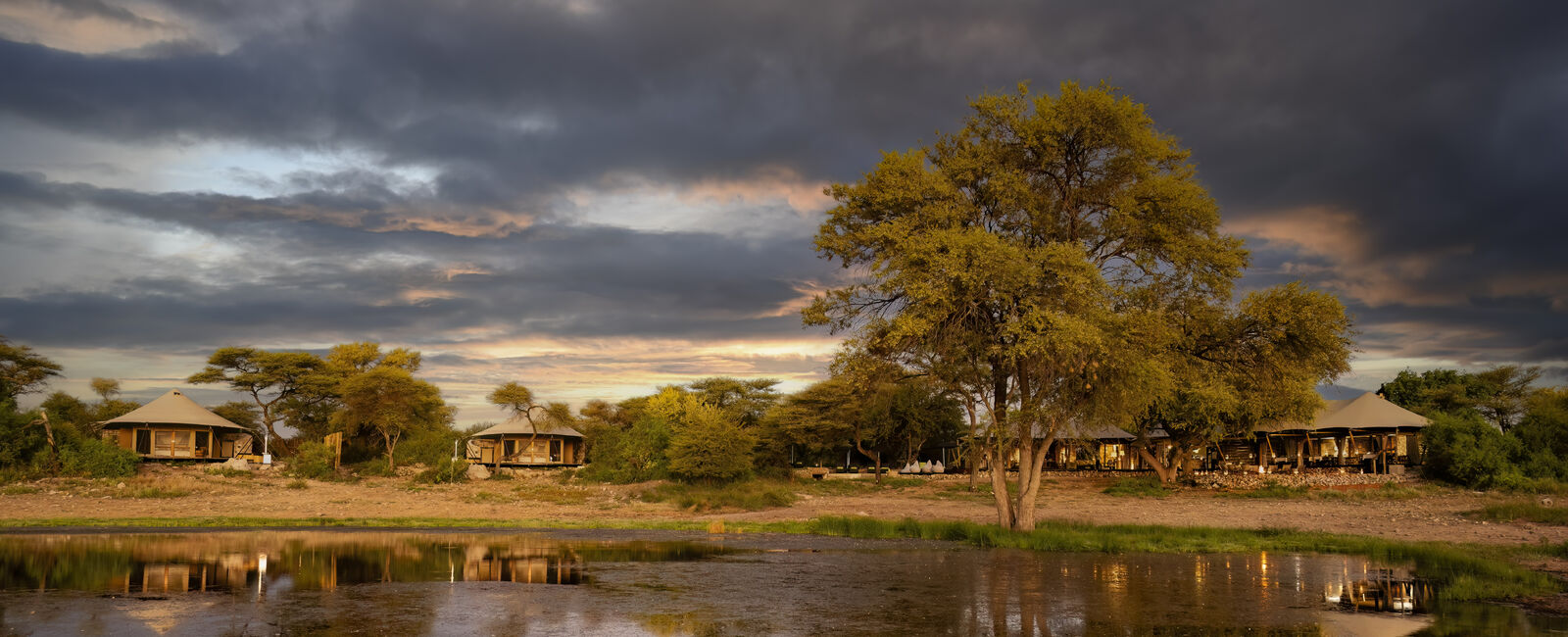 9-Night Luxury Namibia Fly-In Safari: Desert, Dune & Wildlife 